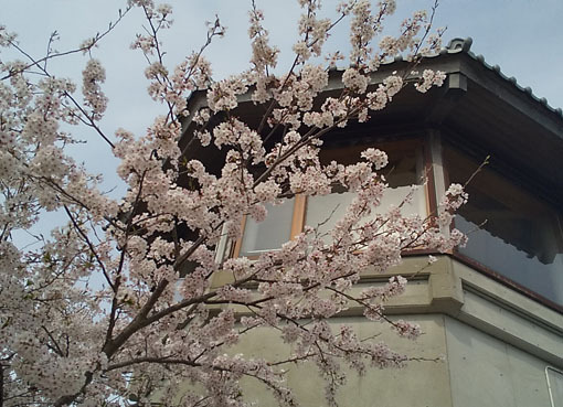 ４月阿南教室より「椿」: ーモノクロの芸術水墨画ー京都で水墨画を学 