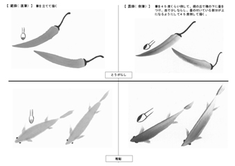 ayu.jpg