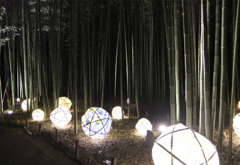 bamboo4.jpg