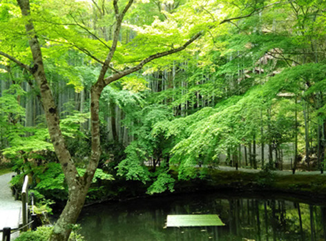 enkohji7.jpg