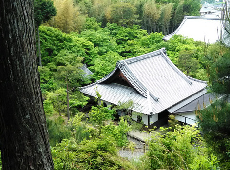 enkohji9.jpg