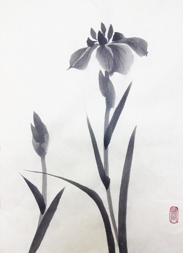 4月土曜夜間教室より「花菖蒲」: ーモノクロの芸術水墨画ー京都