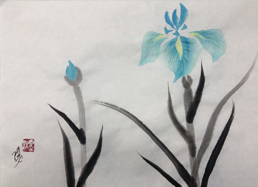 iris10.jpg