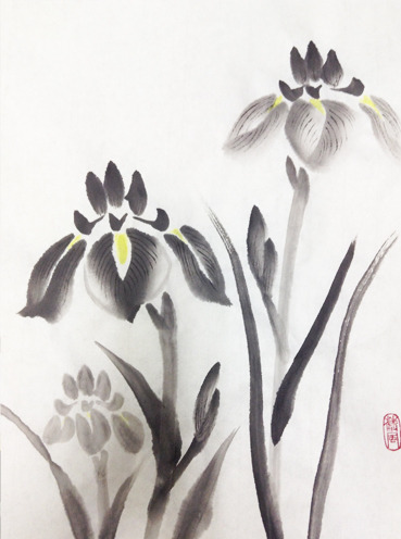 iris2.jpg