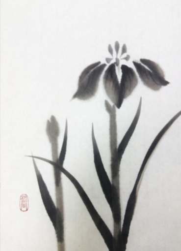 iris5.jpg