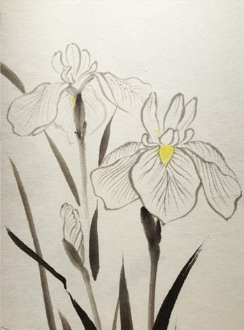iris6.jpg