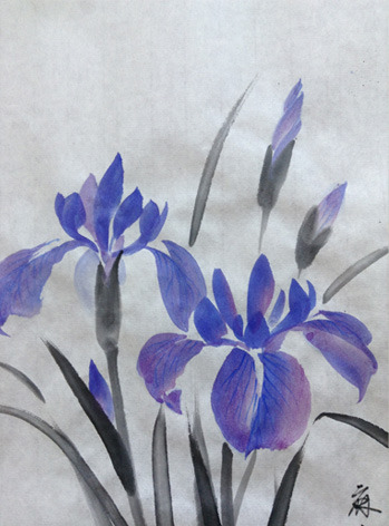 iris7.jpg