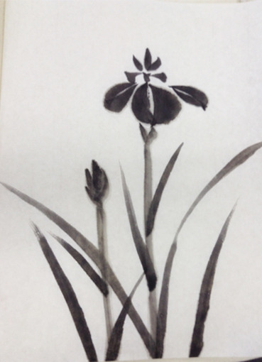 iris8.jpg