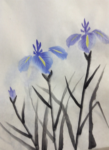 iris9.jpg
