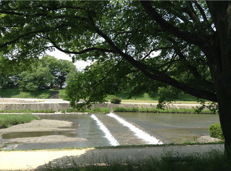 kamogawa.jpg