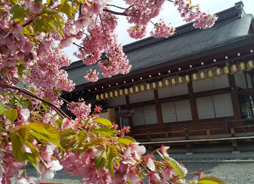 kawazu_toji5.jpg