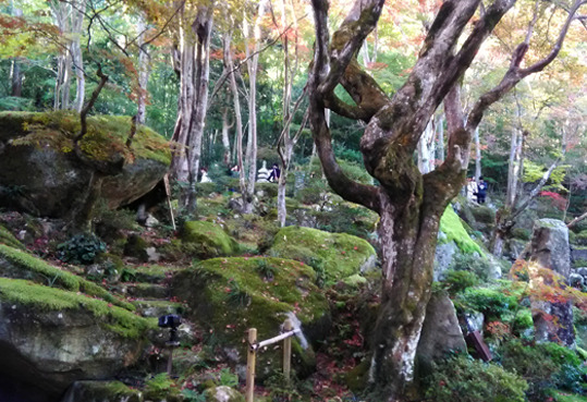 kyoribou6.jpg