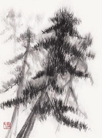 pinetree0.jpg