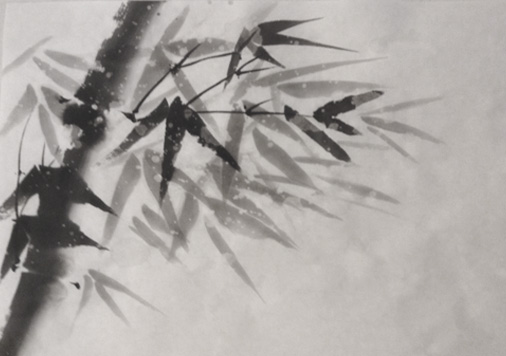 snow-bamboo2.jpg