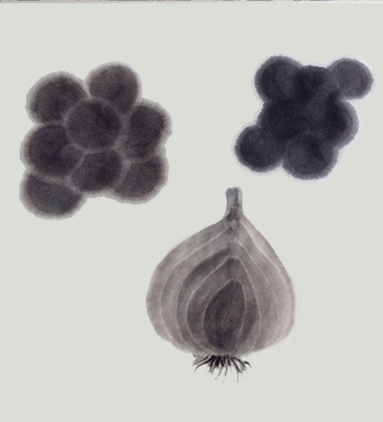 sujime-sample.jpg