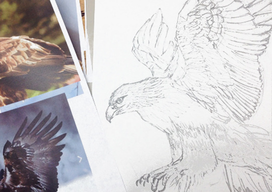 ワシの描き方（墨絵）How to draw Eagle. - YouTube