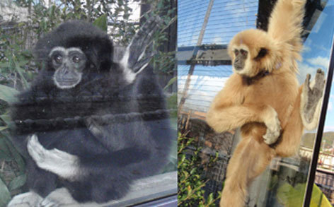 zoo.jpg